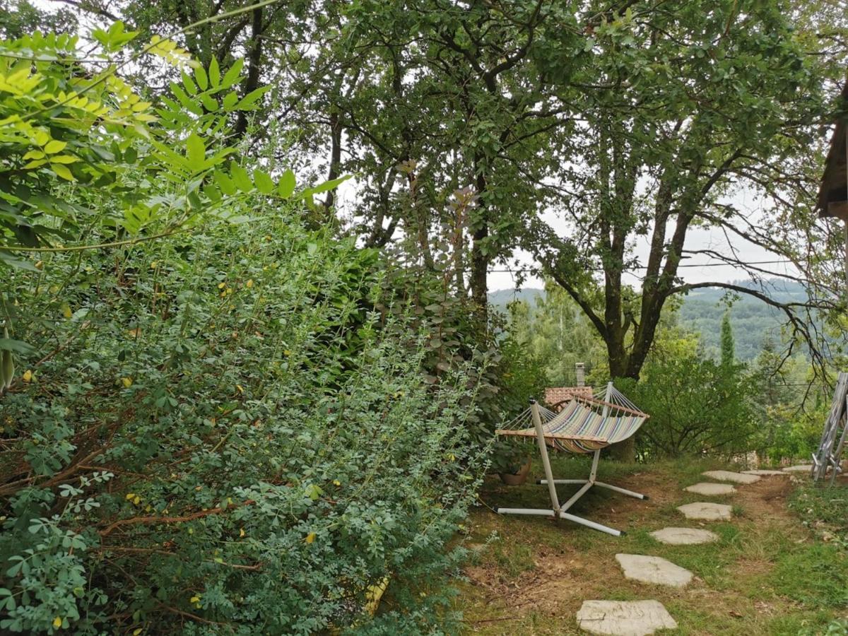Chambre chez l'habitant à la campagne Sidobre Burlats Exterior foto